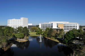 Mayo Clinic Jacksonville FL